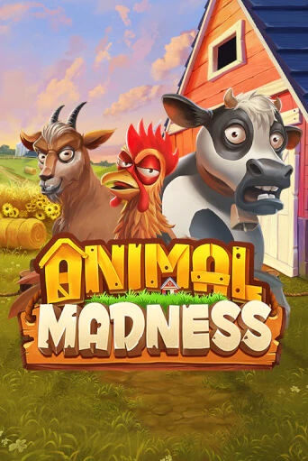 Демо игра Animal Madness играть на официальном сайте Joy Casino