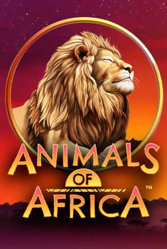 Демо игра Animals of Africa ™ играть на официальном сайте Joy Casino