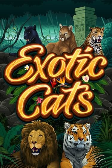 Демо игра Exotic Cats играть на официальном сайте Joy Casino